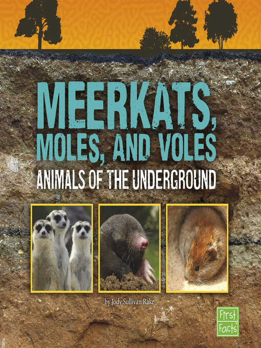 Title details for Meerkats, Moles, and Voles by Jody S. Rake - Available